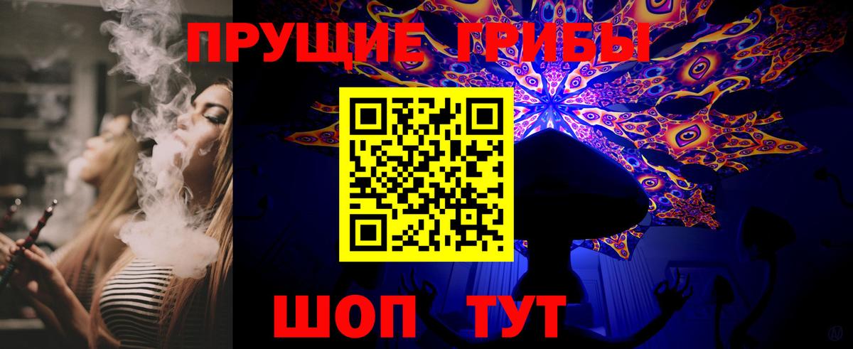 Камышлов  Псилоцибиновые грибы мухоморы  цена наркотик  Вход с VPN 